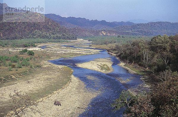 Fluss  der durch Landschaft  Ramganga River  Jim Corbett Nationalpark  Uttarakhand  Indien