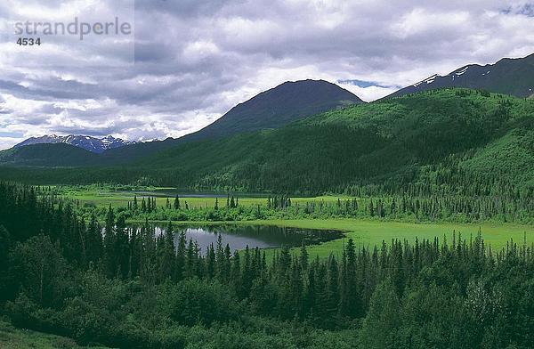 Panoramablick auf Valley  Takini River Valley  Yukon  Kanada