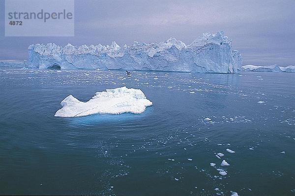 Eisberge in der Meer  Eis-Fjord  Grönland