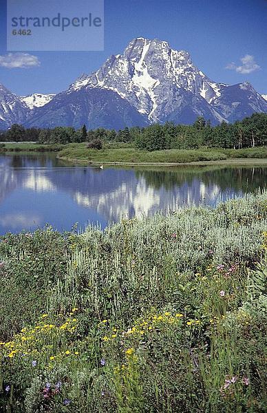 Lake in der Nähe von schneebedeckten Berg  Yellowstone National Park  Wyoming  USA