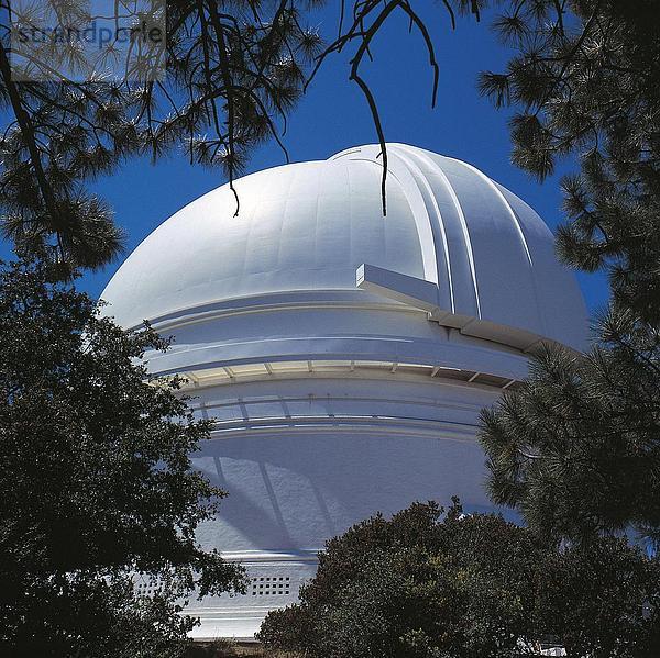 Bäume vor Observatory  Palomar  Kalifornien  USA