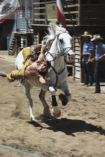 Cowboy auf Pferd  Sioux City  Gran Canaria  Spanien
