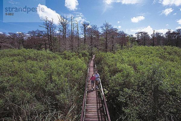 Touristen zu Fuß auf Fußgängerbrücke im Wald  Corkscrew Swamp Heiligtum  Fort Myers  Florida  USA
