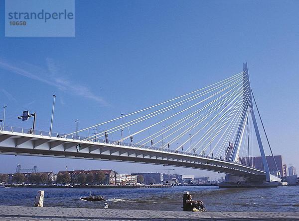 Hängebrücke über den Fluss  Erasmus-Brücke  Nieuwe Maas  Rotterdam  Niederlande