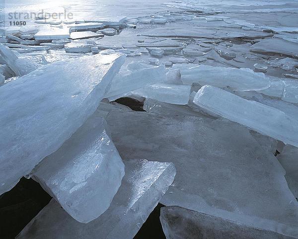 Drifting Eis im Meer  Urk  Niederlande