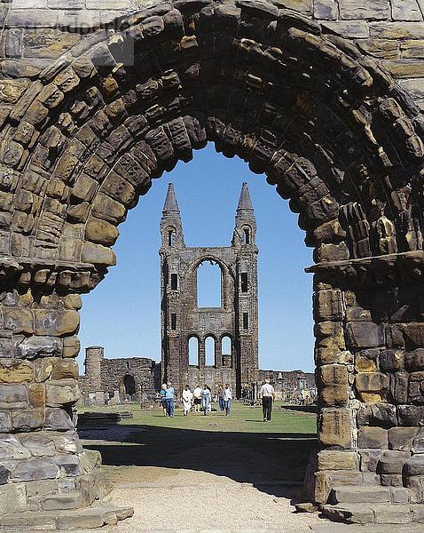 Touristen am Dom  Ruine von St. Andrews  St. Andrews  Schottland