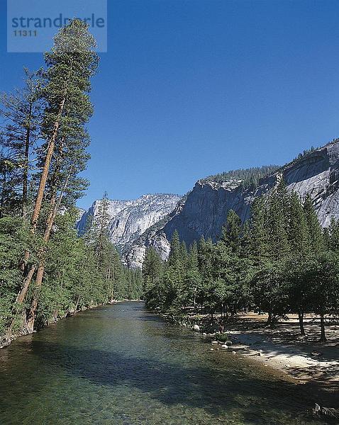 Fluss  der durch einen Wald  Yosemite-Nationalpark  Kalifornien  USA