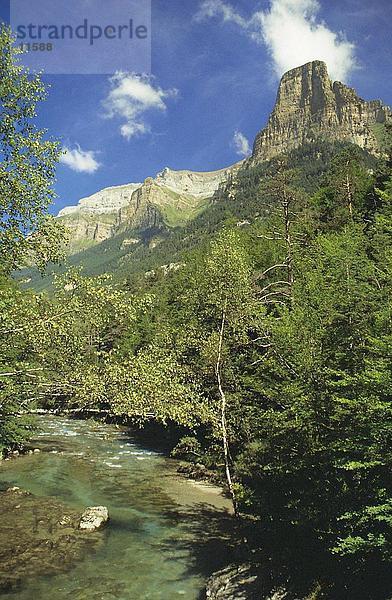 Fluss  der durch Wald  Fluss Ara  Ordesa Y Monte Perdido National Park  Pyrenäen  Aragon  Spanien