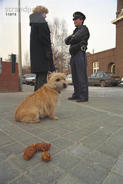 Dung des Hundes auf Pavement und Polizist darauf hingewiesen geöffnete Hundebesitzer in Hintergrund  Niederlande  Europa