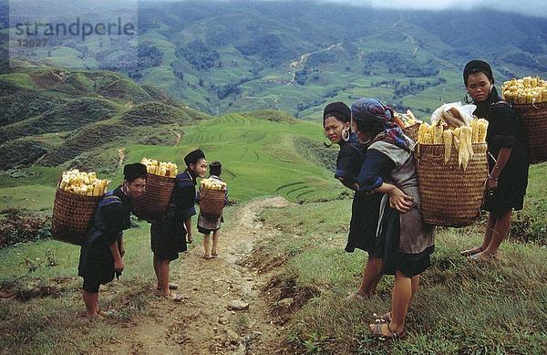 Frauen tragen Mais in Körben am Berg  Vietnam