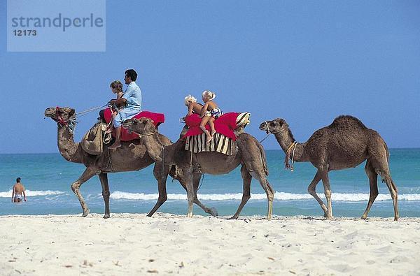 Touristen Reiten am Strand  Tunesien  Nordafrika Camel