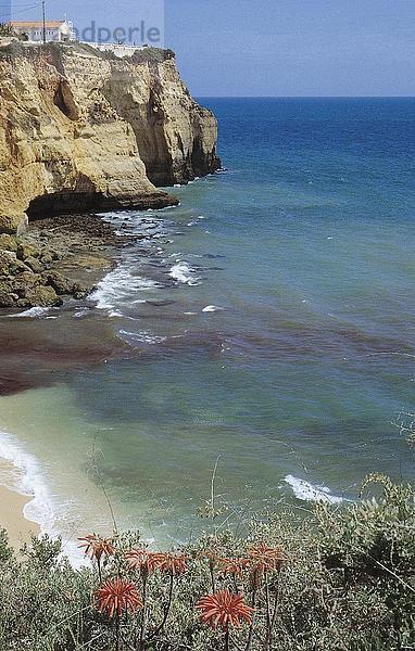 Cliff in der Meer Küste  Algarve  Portugal
