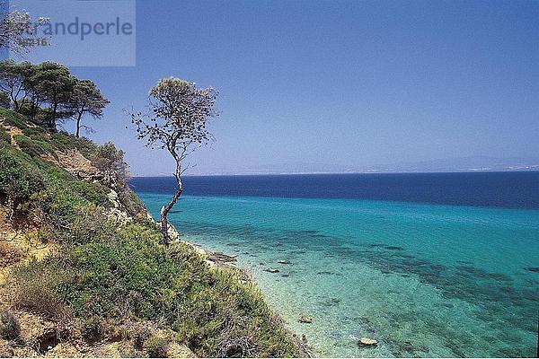 Baum Steilküste Küste Griechenland