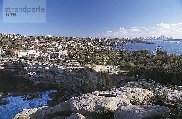 Erhöhte Ansicht der Stadt  Watson Bay  Sydney  Australien
