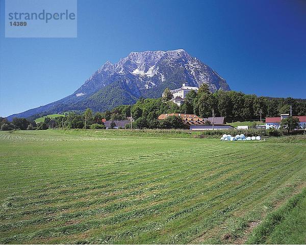 Agrarbereich mit Vulkanberg im Hintergrund  Mt Grimming  Steiermark  Österreich