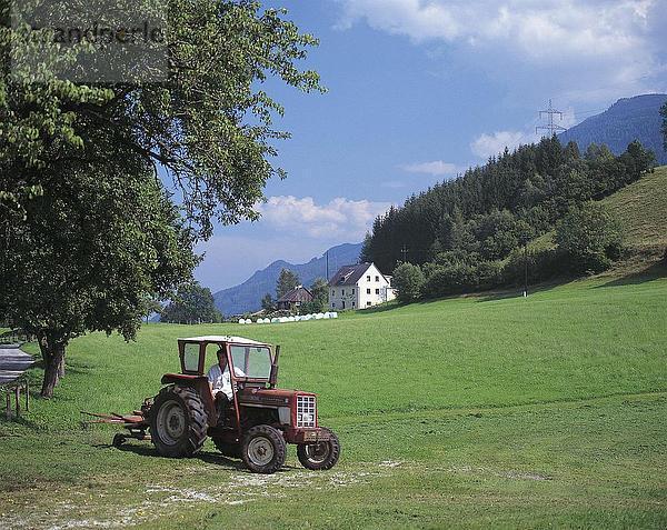 Landwirt in einem Traktor auf Wiese  Steiermark  Österreich