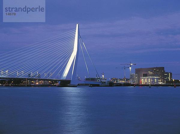 Hängebrücke über den Fluss  Erasmus-Brücke  Rotterdam  Niederlande