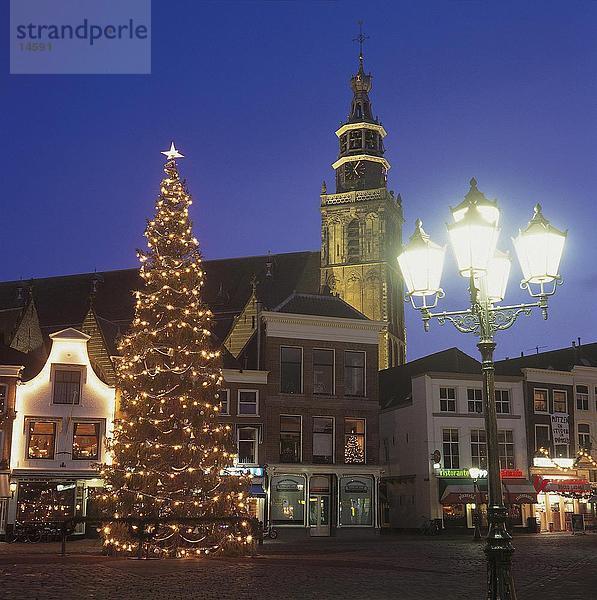Weihnachtsbaum vor der Kirche  Gouda  Niederlande