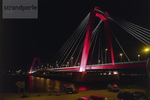 Hängebrücke beleuchtet bei Nacht  Erasmus-Brücke  Rotterdam  Niederlande
