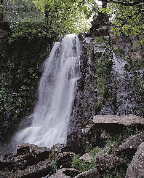 Untersicht der Wasserfall im Wald  Cascade d' Allemand  Auvergne  Frankreich