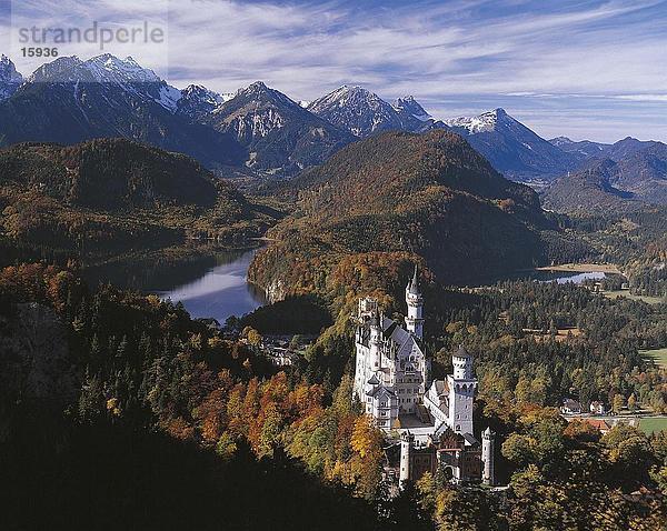 Erhöhte Ansicht der Burg  Schloss Neuschwanstein  Bayern  Deutschland