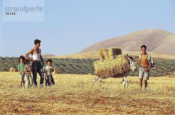 Kinder mit Esel auf Feld  Tabarka  Tunesien  Nordafrika