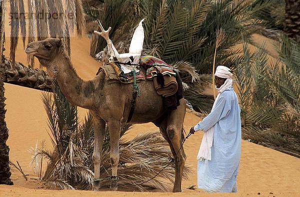 Mann mit Camel in der Wüste  Oasis  Tuareg  Sahara-Wüste  Libyen