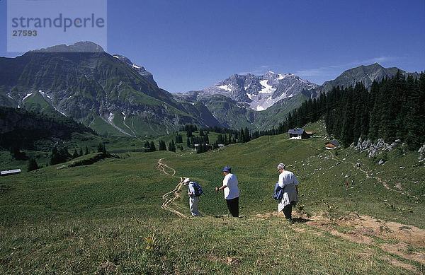 Rückansicht des drei Wanderer Wandern  Tannberg  Hochtannberg Pass  Vorarlberg  Österreich