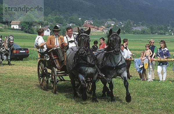 Touristen in Horse Beförderung  Palast Litzing  Kärnten  Österreich