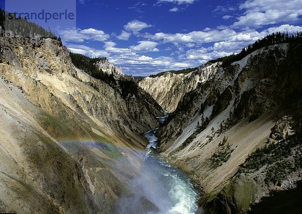 Erhöhte Ansicht des Canyon  Grand Canyon  Yellowstone River  Yellowstone National Park  Wyoming  USA