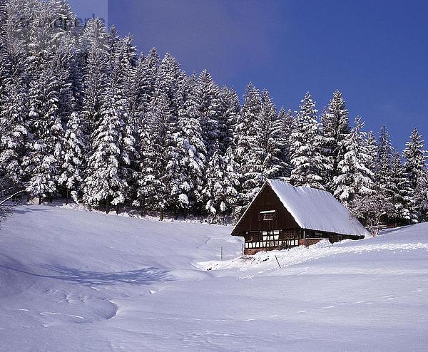 Landhaus mit Nadelbäumen auf Schnee bedeckt Landschaft