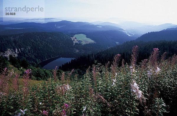See  umgeben von Bergen  Feldberg  Schwarzwald  Baden-Württemberg  Deutschland