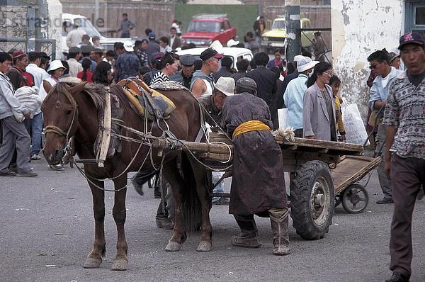 Pferdewagen im Markt  Ulan Bator  unabhängige Mongolei