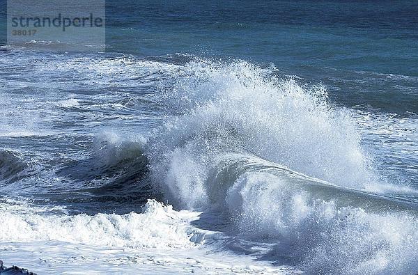 Wellen im Meer  Varazze  Savona  Cinque Terre  Ligurien  Italien