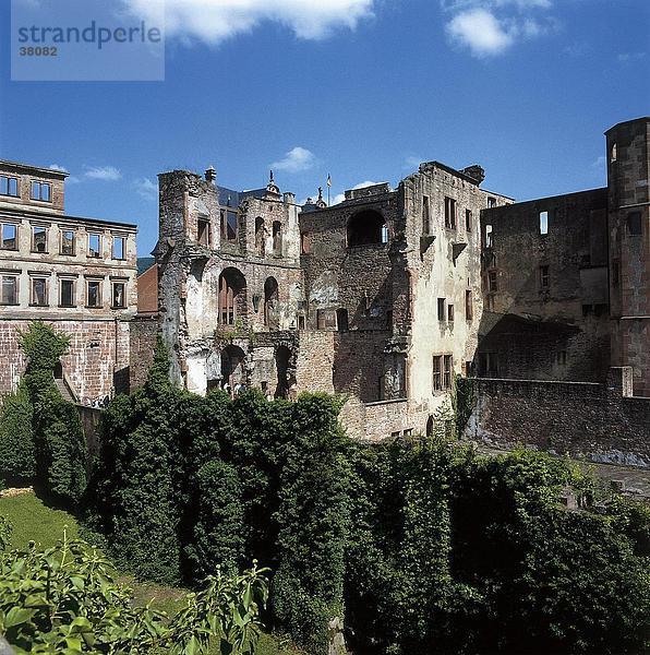 Ruine der Burg  Heidelberg  Neckar  Baden-Württemberg  Deutschland