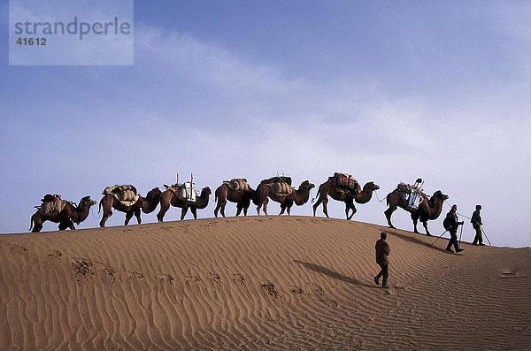 Drei Menschen und Dromedar Kamele zu Fuß in Wüste  Meriya  Taklimakan  China