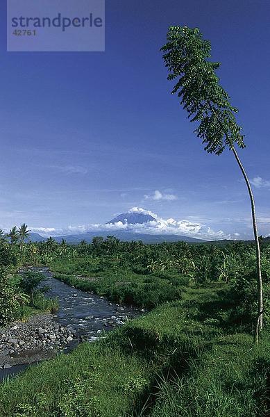 Fluss  der durch Wald  Mount Agung  Amlapura  Bali  Indonesien