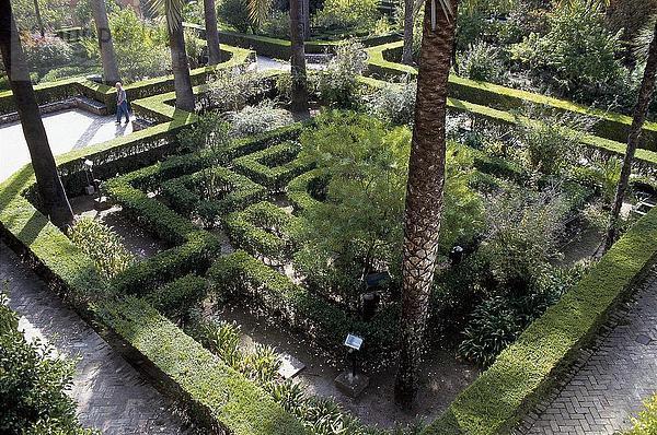 Absicherung in einem Garten  Alcázar Palast  Sevilla  Andalusien  Spanien
