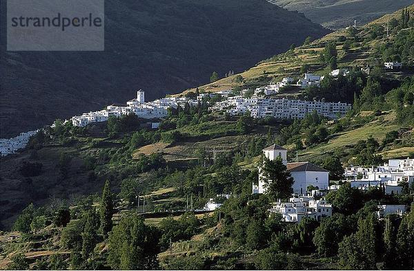 Luftbild der Stadt auf dem Hügel  Bubion  Capileira  Alpujarras  Sierra Nevada  Andalusien  Spanien