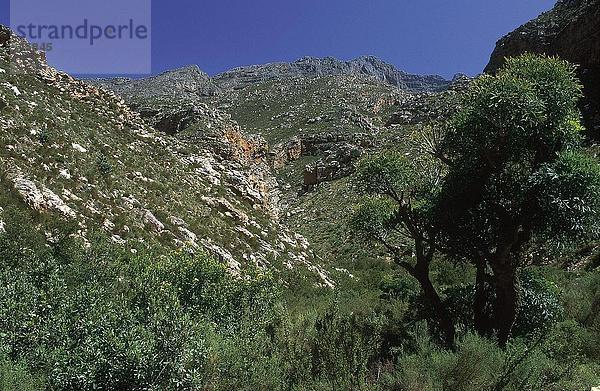 Untersicht der Berge  Seweweekspoort  Swart Gebirge  Provinz Westkap  Südafrika