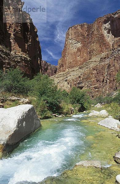 Fluss in Felsen  Colorado River  Grand Canyon  Arizona  USA