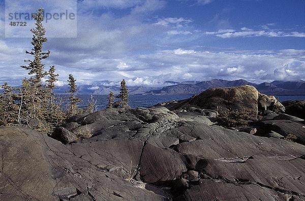 Felsen  Kluane National Park  Yukon  Kanada