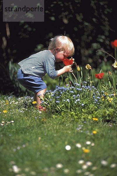 Seitenansicht Boy duftende Blumen im Garten