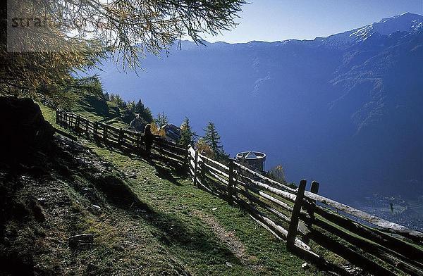 Zaun entlang Wanderweg am Berg  Eschtal Valley  Alto Adige  Italien