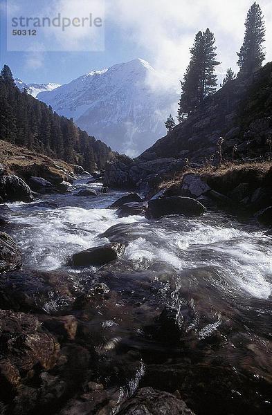Wasser fließt in Creek  Nationalpark Stilfserjoch  Alto Adige  Italien