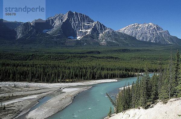 Fluss  der durch Landschaft mit Gebirge im Hintergrund  Icefields Parkway  Alberta  Kanada