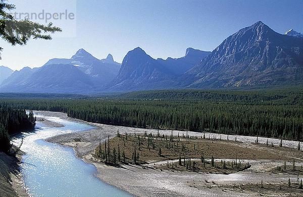 Fluss  der durch Landschaft  Icefields Parkway  Alberta  Kanada