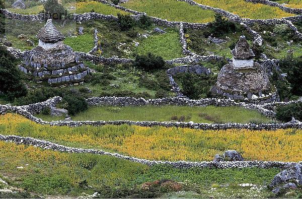 Erhöhte Ansicht des Friedhofs in Dorf  Phortse  Khumbu  Nepal