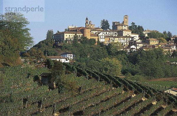 Weingut auf Hügel mit Dorf im Hintergrund  Neive  Provinz Cuneo  Piemont  Italien