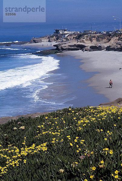 Erhöhte Ansicht des Strandes  Wipeout Strand  La Jolla  San Diego  San Diego County  Kalifornien  USA